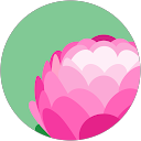 Vikvico profile picture
